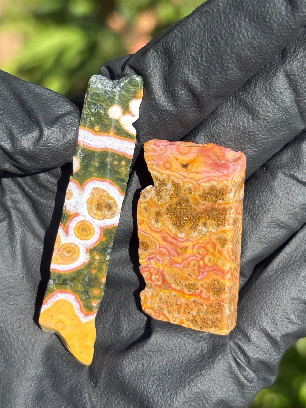 Ocean Jasper Crystal Set - Polished Sea Jasper Bundle